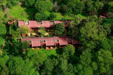 De twee vleugels met rode daken van de Amboseli Serena Safari Lodge van bovenaf gezien, tussen de bomen
