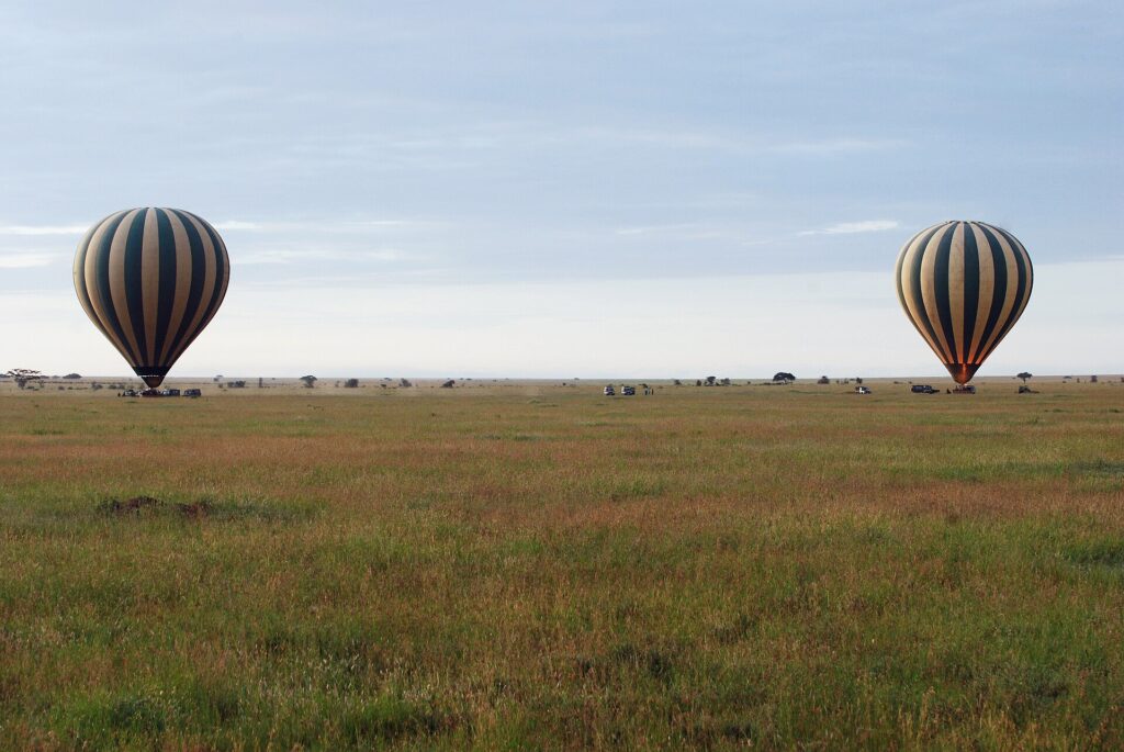 Twee gestreepte heteluchtballonnen landen vroeg in de ochtend op de groene vlakte, met de 4x4's die ze volgen