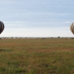 Twee gestreepte heteluchtballonnen landen vroeg in de ochtend op de groene vlakte, met de 4x4's die ze volgen
