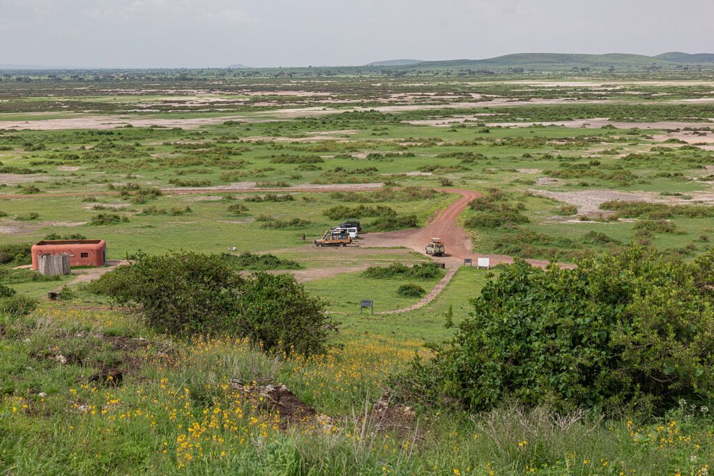 Uitzicht vanaf Observation Hill over een groene vlakte met zoutvlekken, een rode weg, drie 4x4's geparkeerd bij een klein okerkleurig gebouw, lage heuvels in de verte