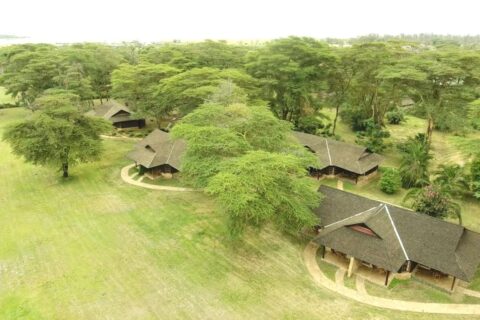 De rieten daken van de Ol Tukai Lodge tussen de acacia's, in Amboseli National Park