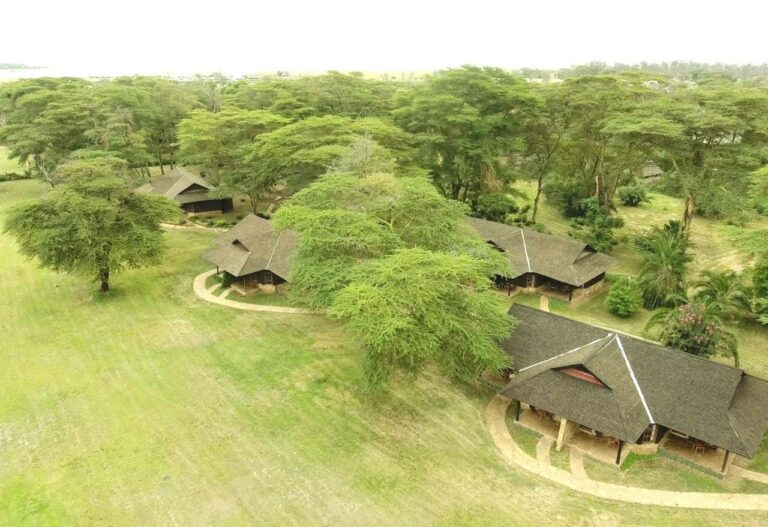 De rieten daken van de Ol Tukai Lodge tussen de acacia's, in Amboseli National Park