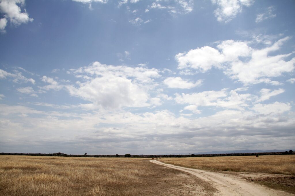 Een lichte zandweg loopt door een vlakte met droog gras onder een grote blauwe lucht vol wolken, met een paar antilopen in de verte en heuvels aan de horizon