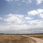 Een lichte zandweg loopt door een vlakte met droog gras onder een grote blauwe lucht vol wolken, met een paar antilopen in de verte en heuvels aan de horizon