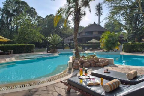 Het lagunevormige zwembad van het Sarova Mara Game Camp, rond een rotseilandje met een palmboom