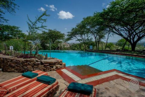 Het infinityzwembad van de Serengeti Serena Safari Lodge, met rood gestreepte ligbedden en groene handdoeken, onder de acacia's