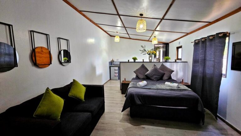 Een studio met een zwarte bank met groene kussens, een grijs tweepersoonsbed en achterin de kitchenette achter een halfhoog muurtje