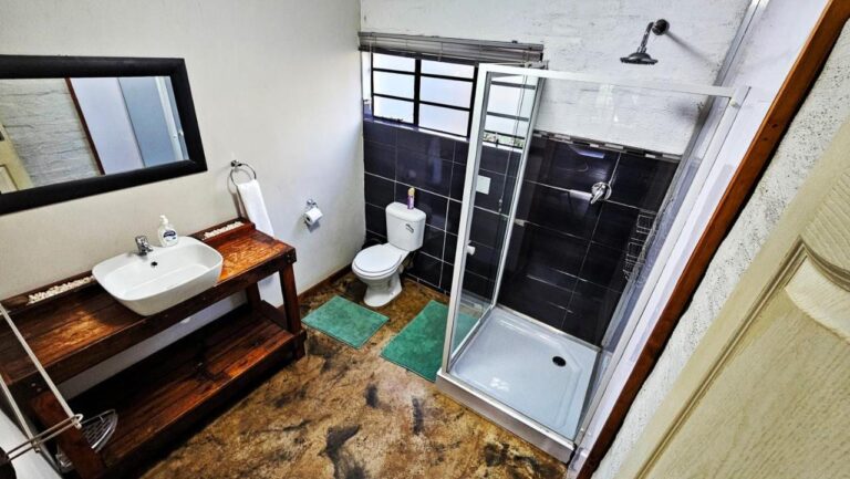 Een badkamer met een glazen douchecabine, een toilet en een opzetwastafel op een donkerhouten meubel